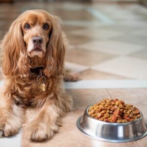 pure-balance-dog-food